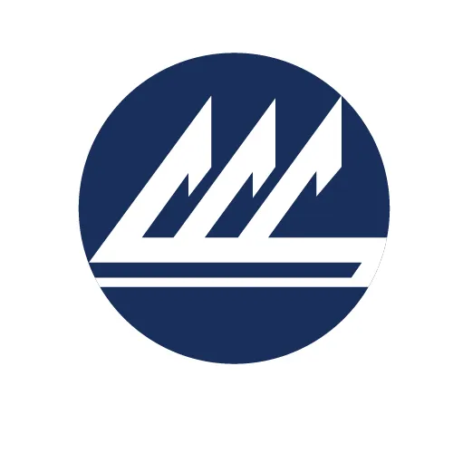Company name